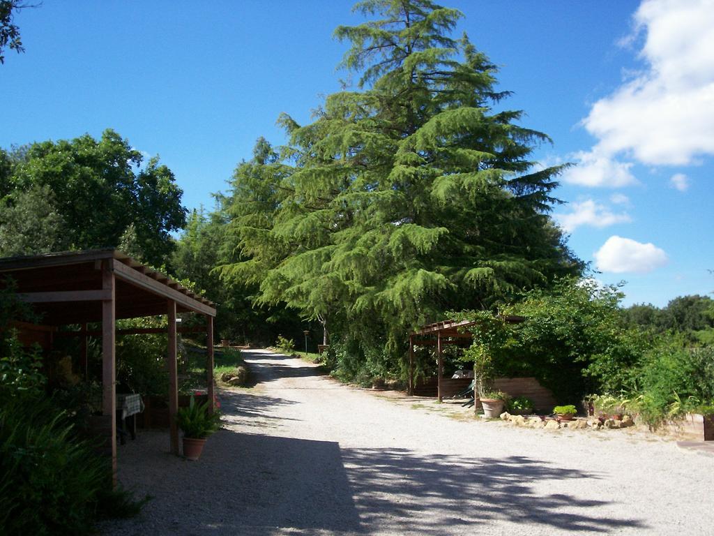 Podere Il Caggio Rooms San Gimignano Exterior photo